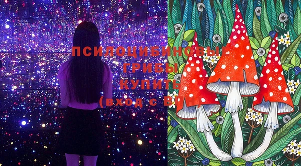 ешки Арсеньев